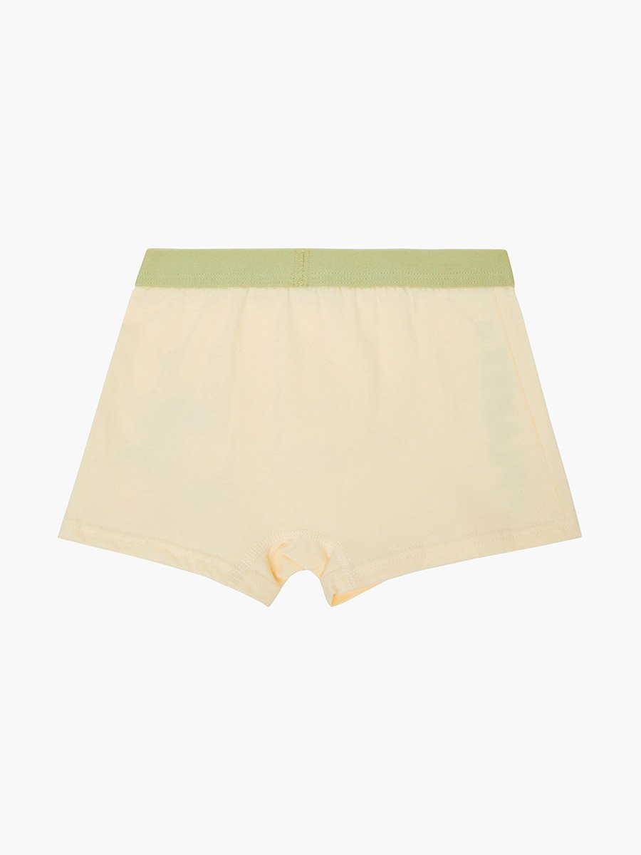 Pack of 4 - Boys Printed Cotton Boxers