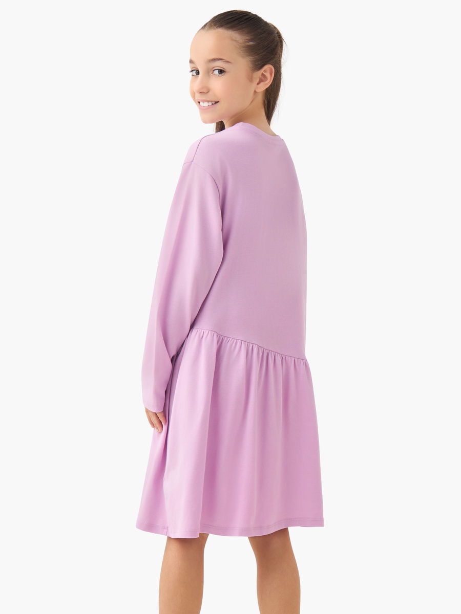 Round Neck Long Sleeves A-Line Dress with Graphic Print