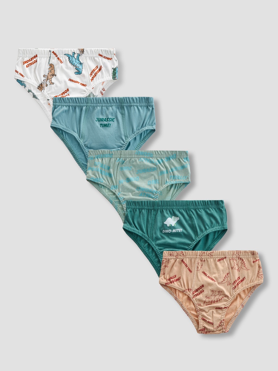 Pack of 5 -Briefs with Dinosaur Print