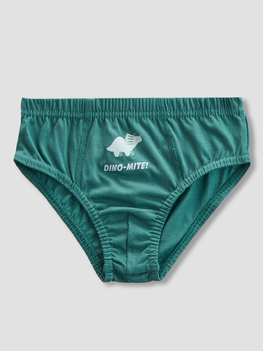 Pack of 5 -Briefs with Dinosaur Print
