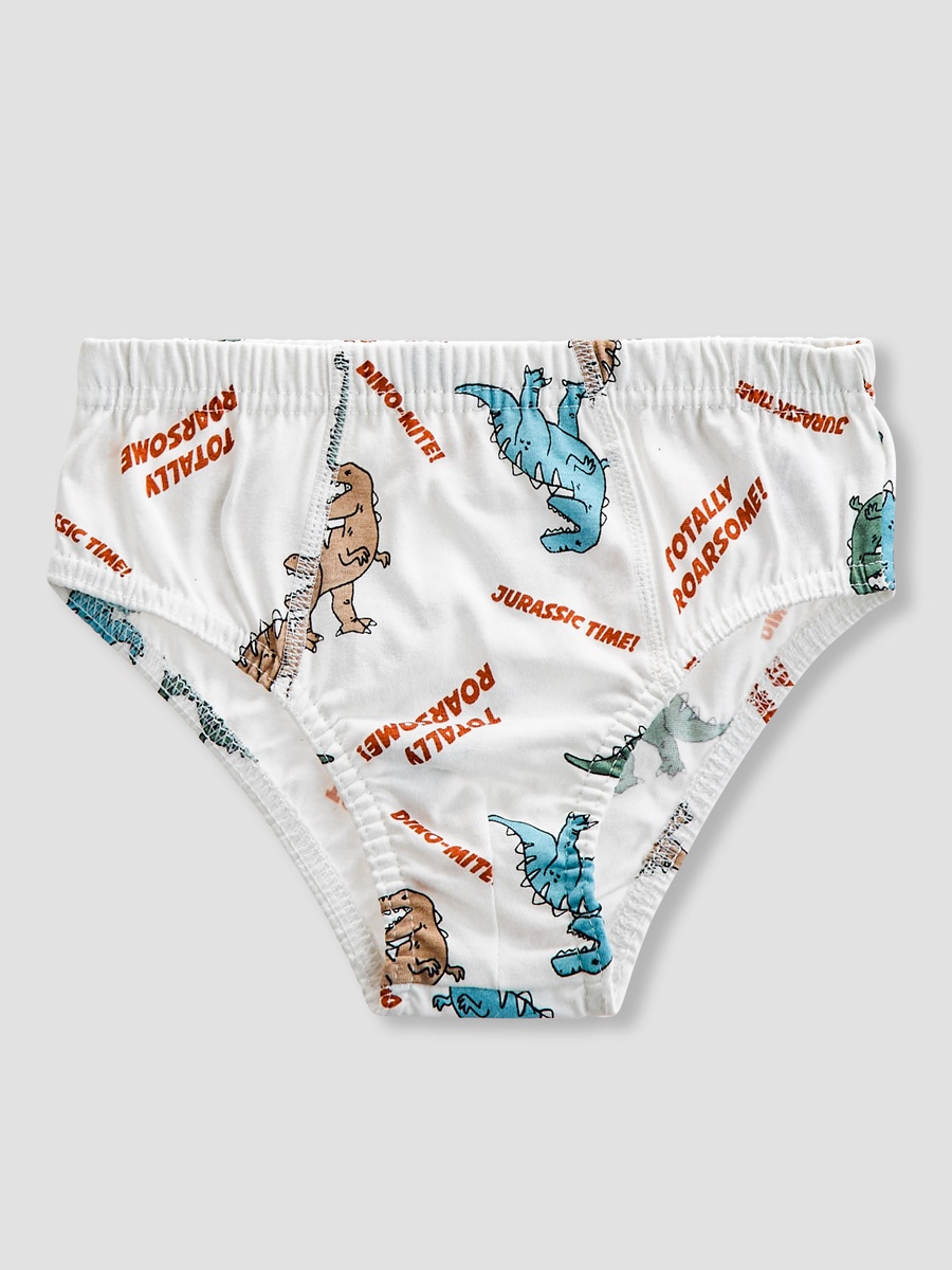 Pack of 5 -Briefs with Dinosaur Print