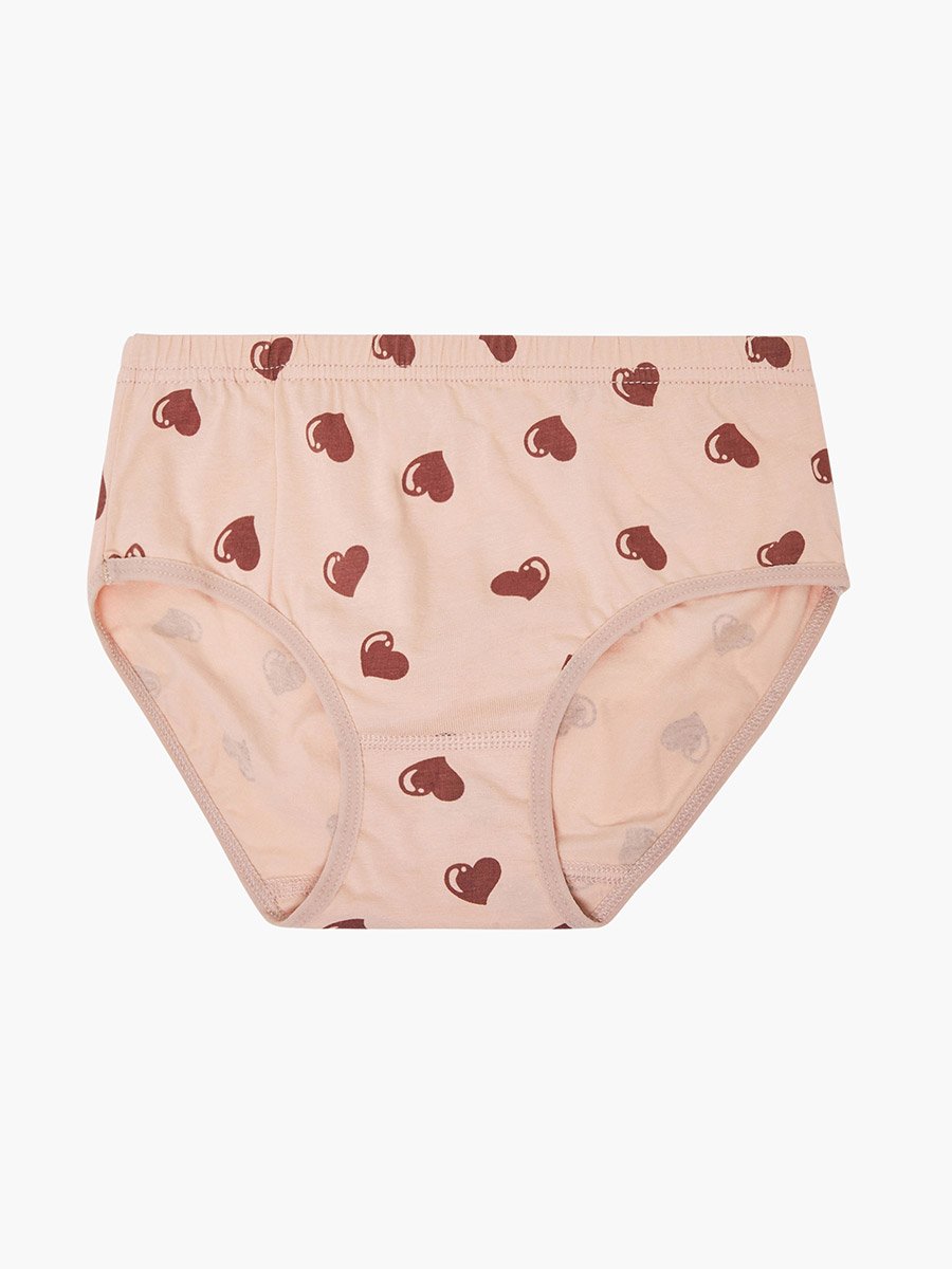 Pack of 4 - Printed Cotton Briefs