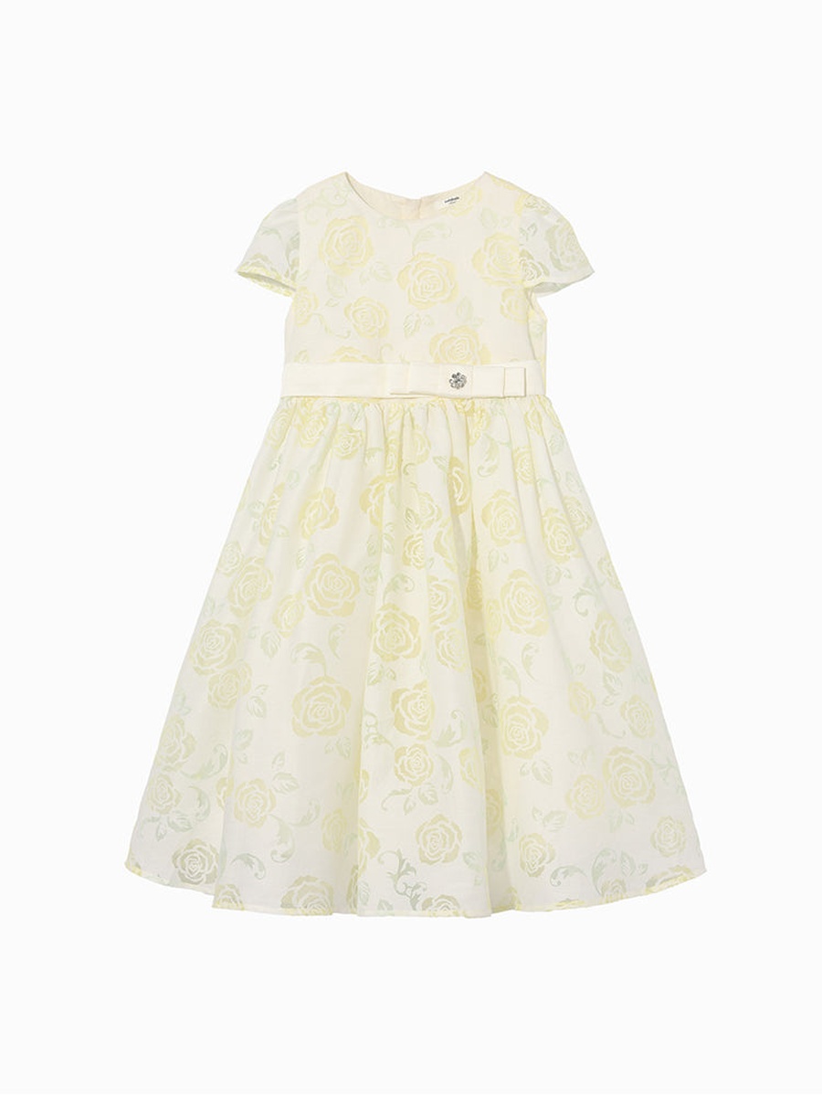 Printed Dress