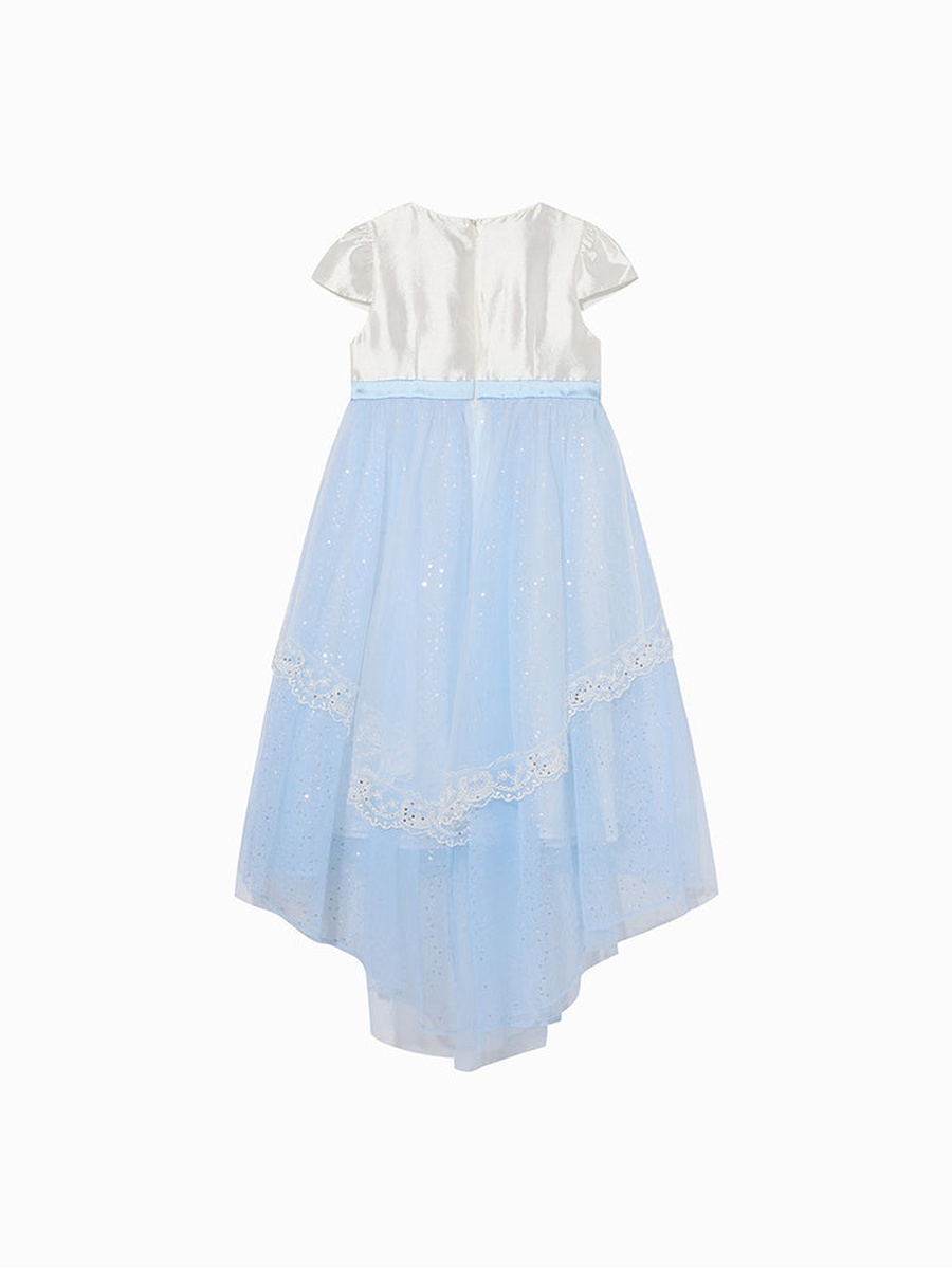 Two-Tone Puff Sleeves Dress