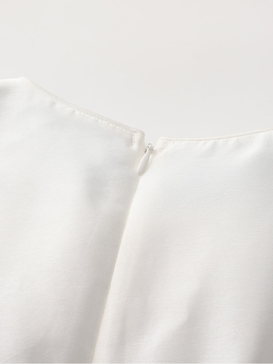 Two-Tone Puff Sleeves Dress