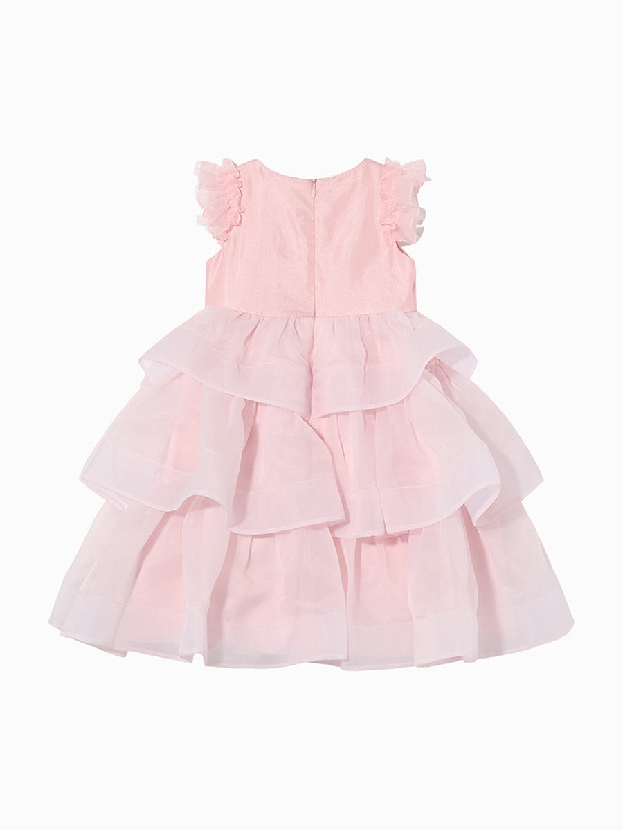 Ruffled Dress with Embroidery