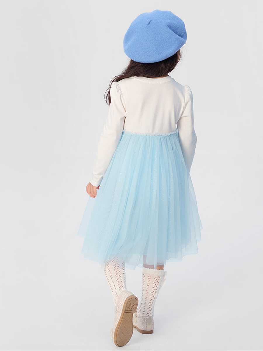 Organza Dress