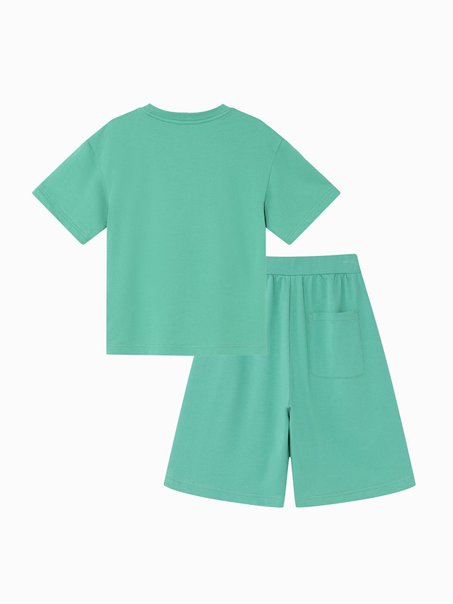 Solid Short Sleeve T-Shirt and Shorts Set
