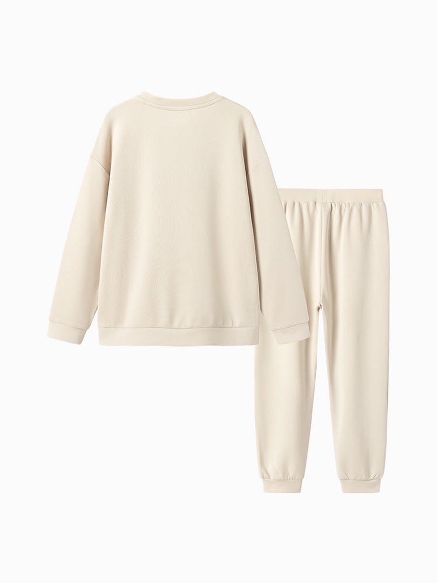 Solid Sweatshirt and Joggers Set