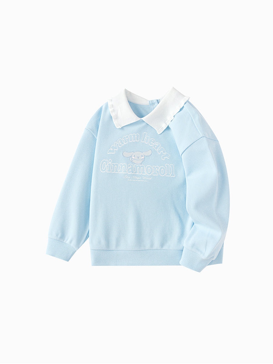Sweatshirt with Embroidery