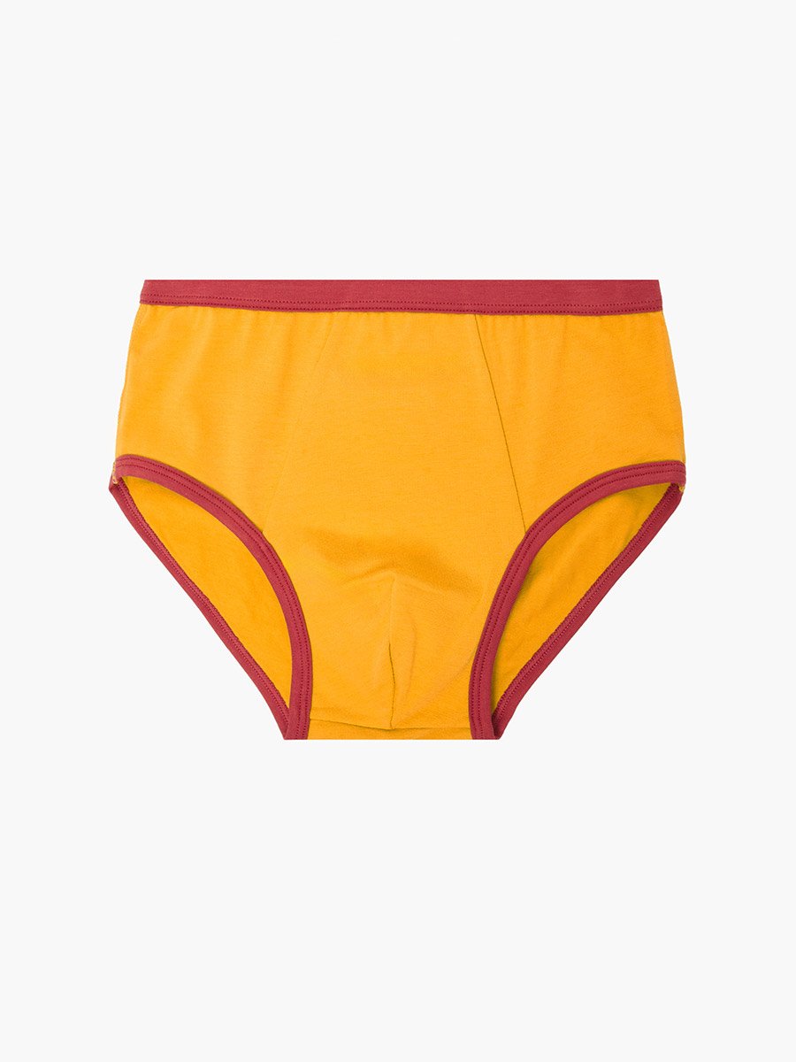 Pack of 4 - Boys Printed Cotton Briefs