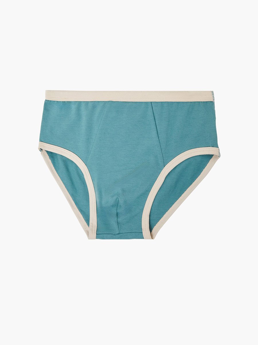 Pack of 4 - Boys Printed Cotton Briefs