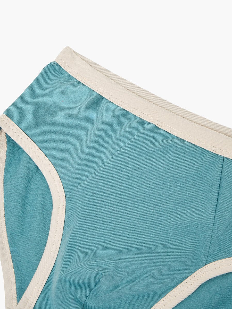 Pack of 4 - Boys Printed Cotton Briefs