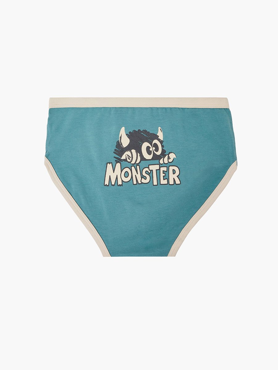 Pack of 4 - Boys Printed Cotton Briefs
