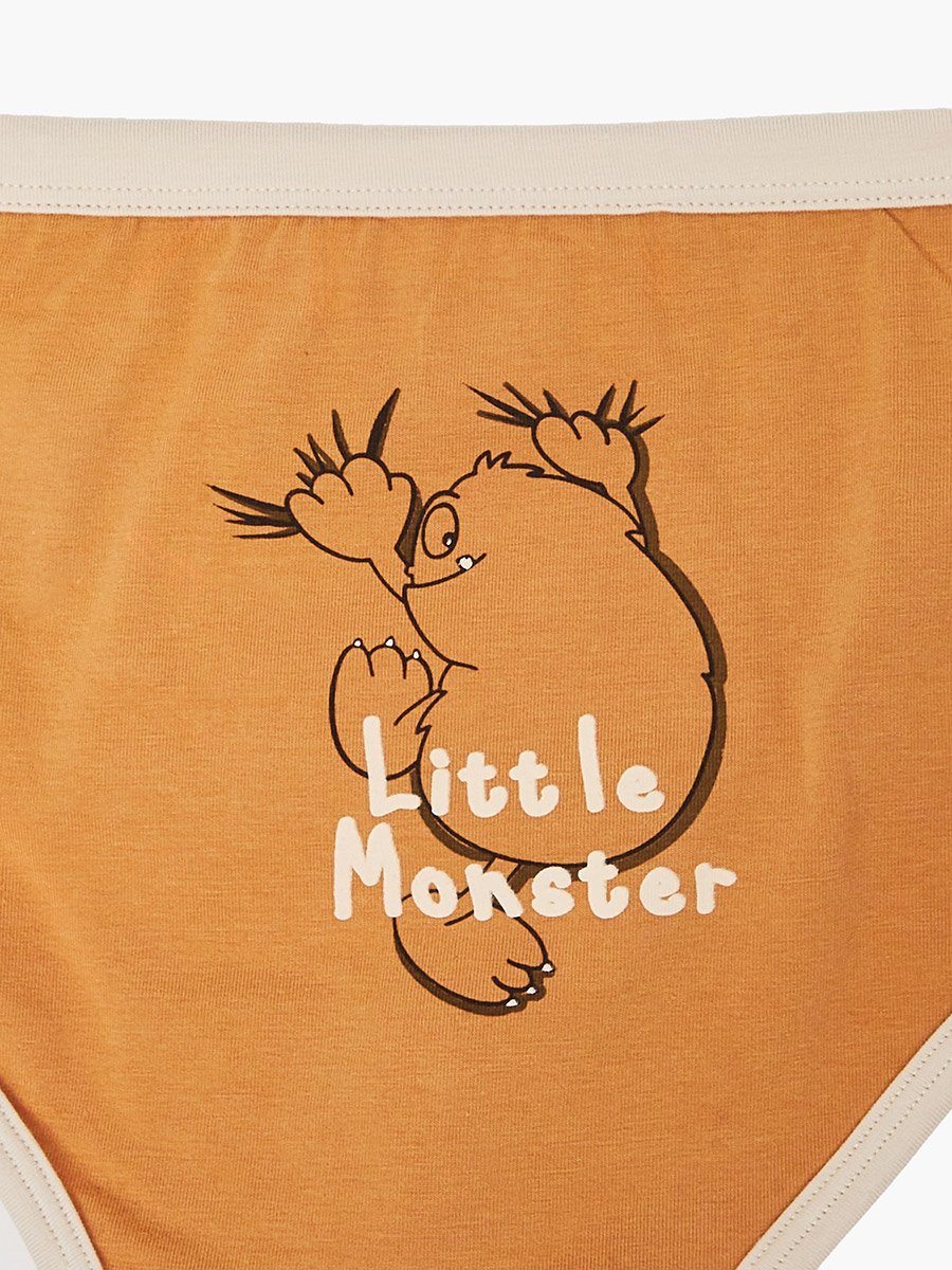 Pack of 4 - Boys Printed Cotton Briefs