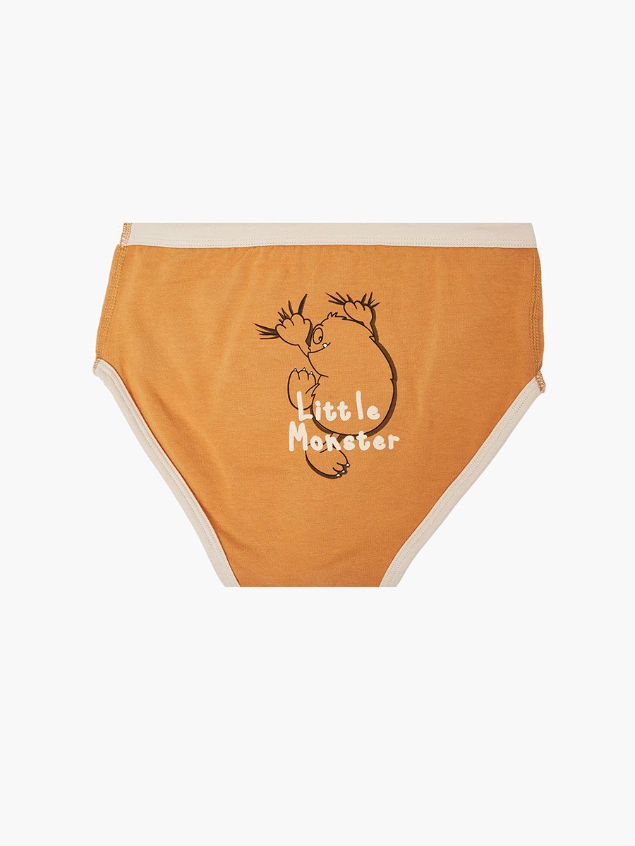Pack of 4 - Boys Printed Cotton Briefs