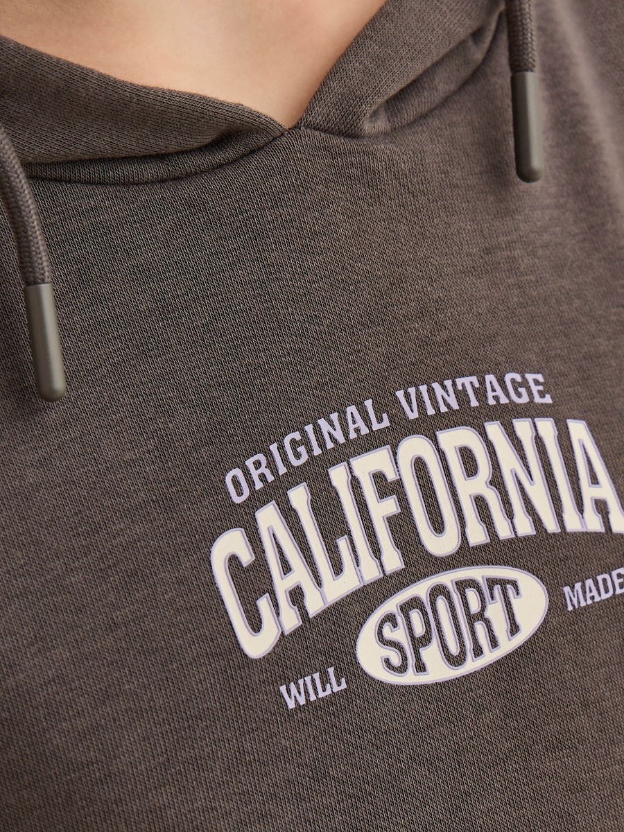 Printed Hoodie Dress