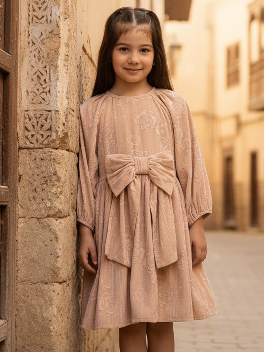 Rose Embossed Bow Applique Velour Dress