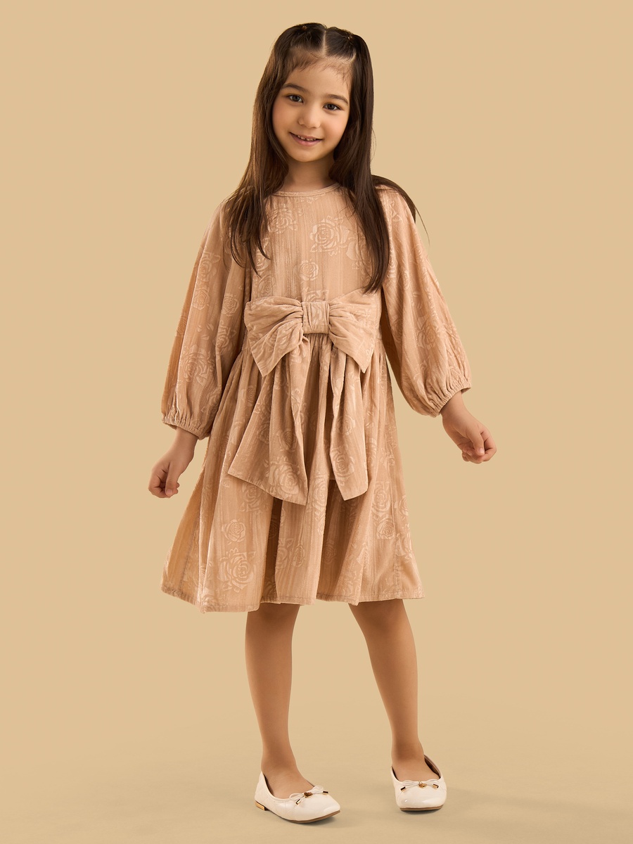 Rose Embossed Bow Applique Velour Dress