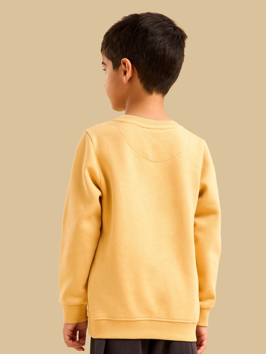 Pack of 2 - Plain Sweatshirt