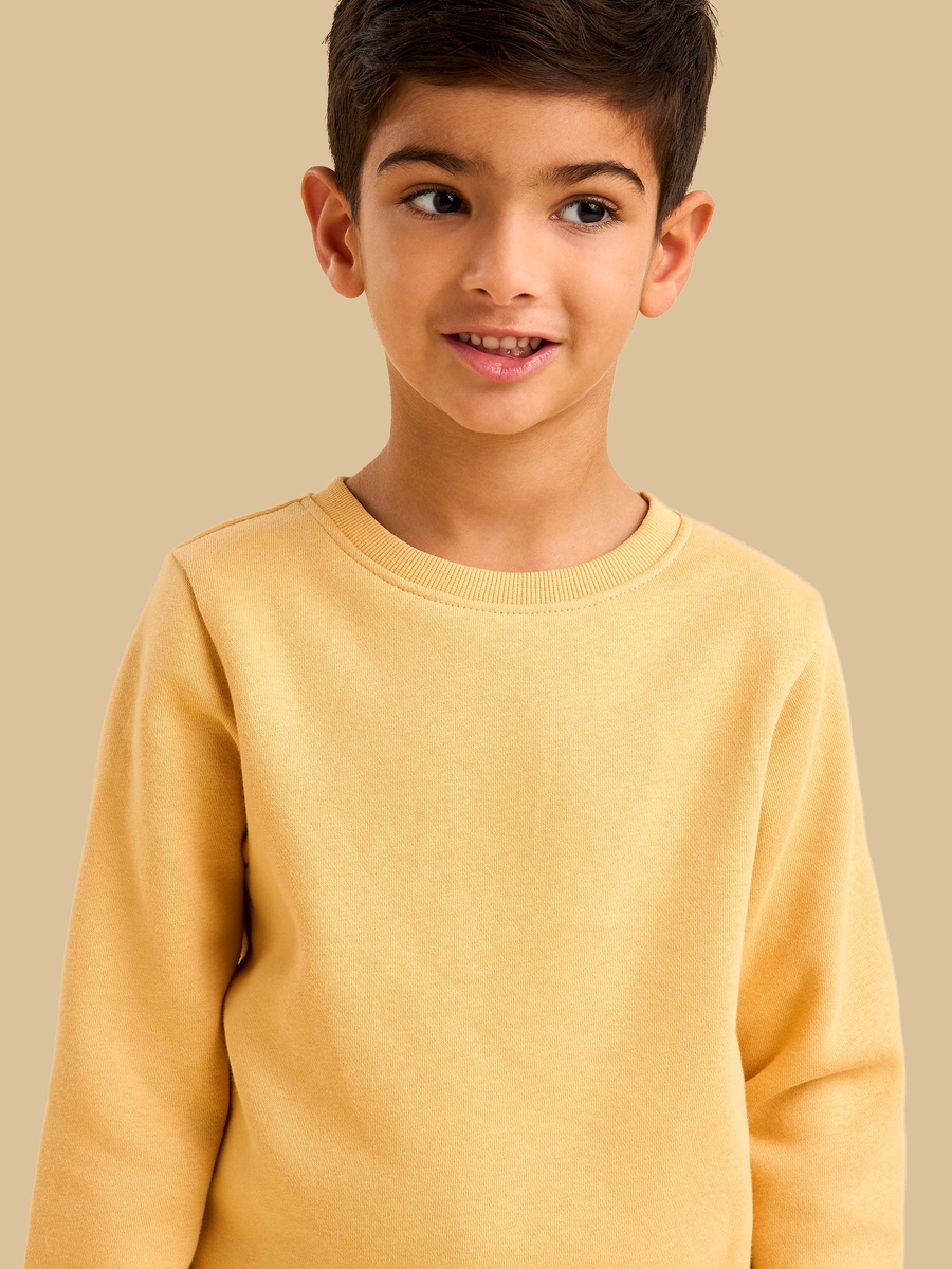 Pack of 2 - Plain Sweatshirt