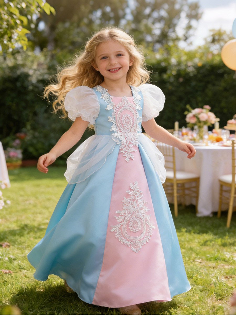 Blue Puff Sleeve Embroidered Dress