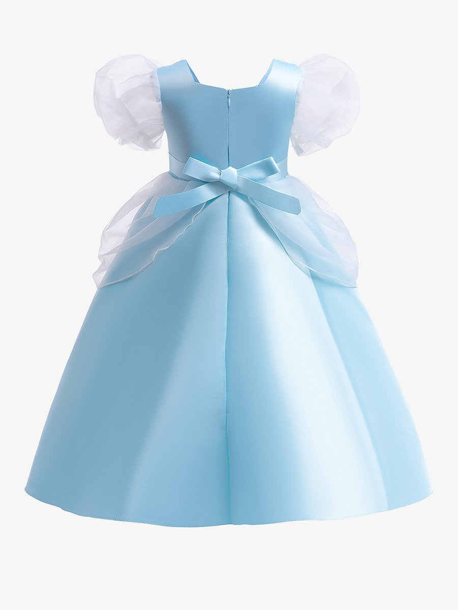 Blue Puff Sleeve Embroidered Dress