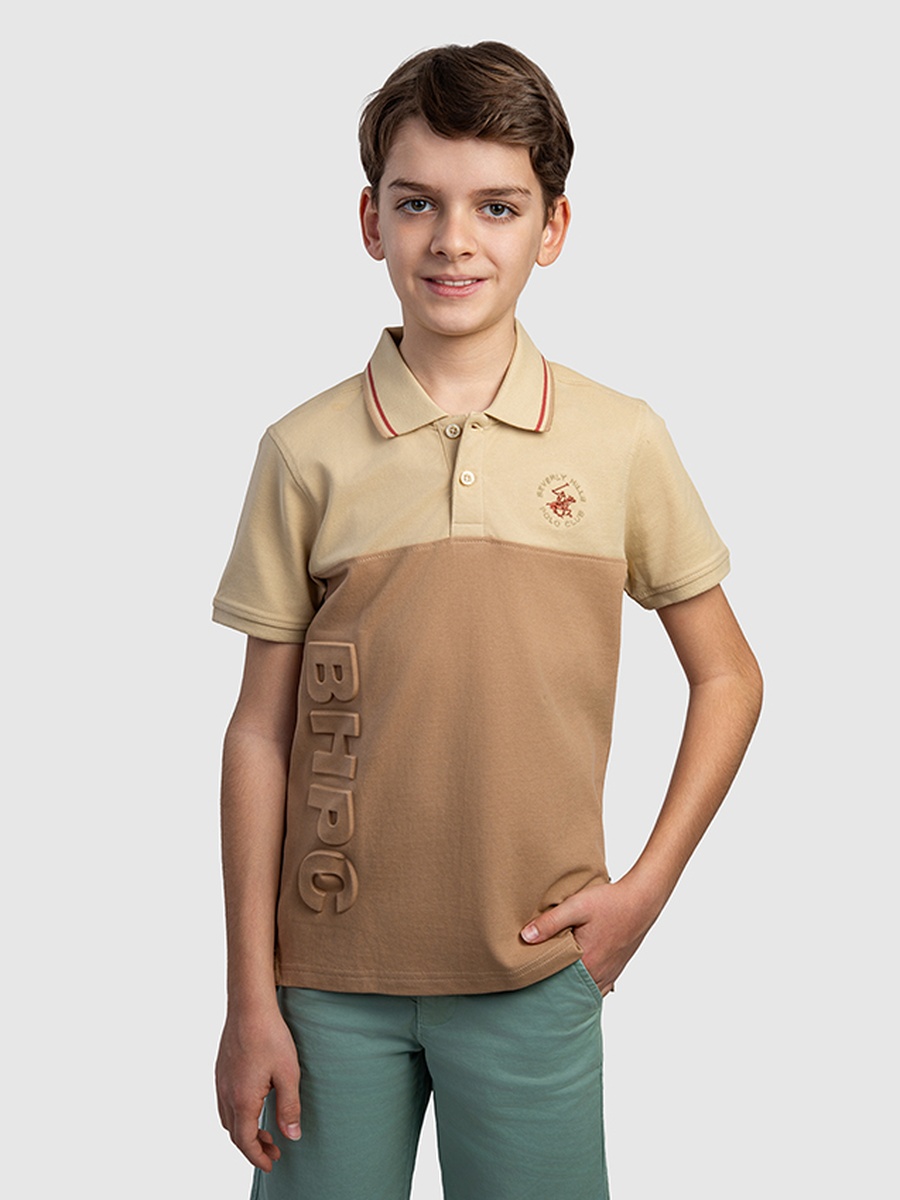 Boys Regular Fit Color Block Polo T-Shirt