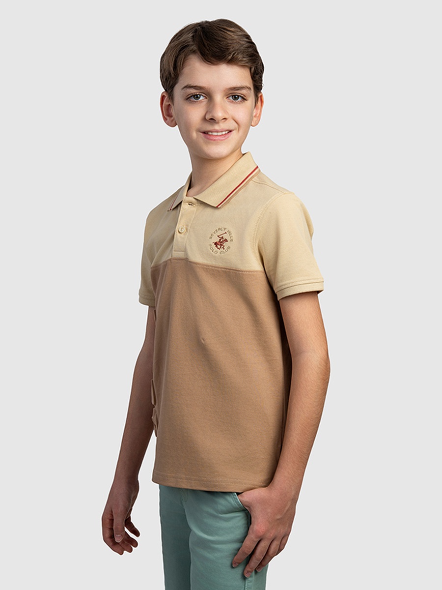 Boys Regular Fit Color Block Polo T-Shirt