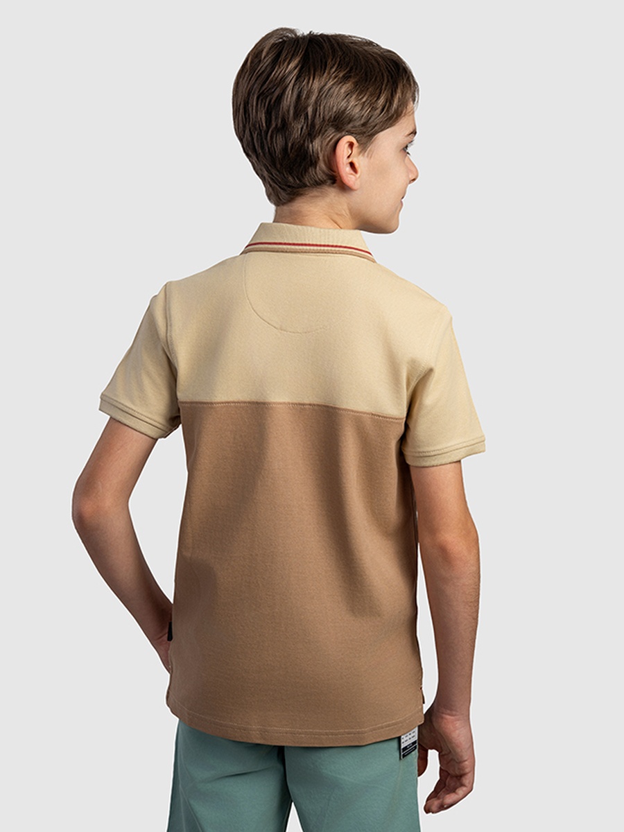 Boys Regular Fit Color Block Polo T-Shirt