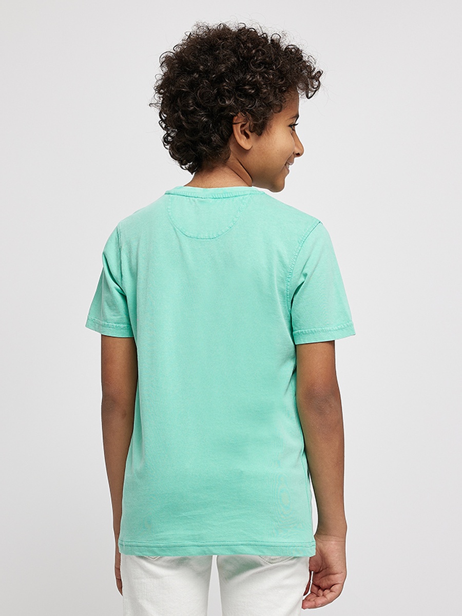 Boys Regular Fit Applique Detail T-Shirt