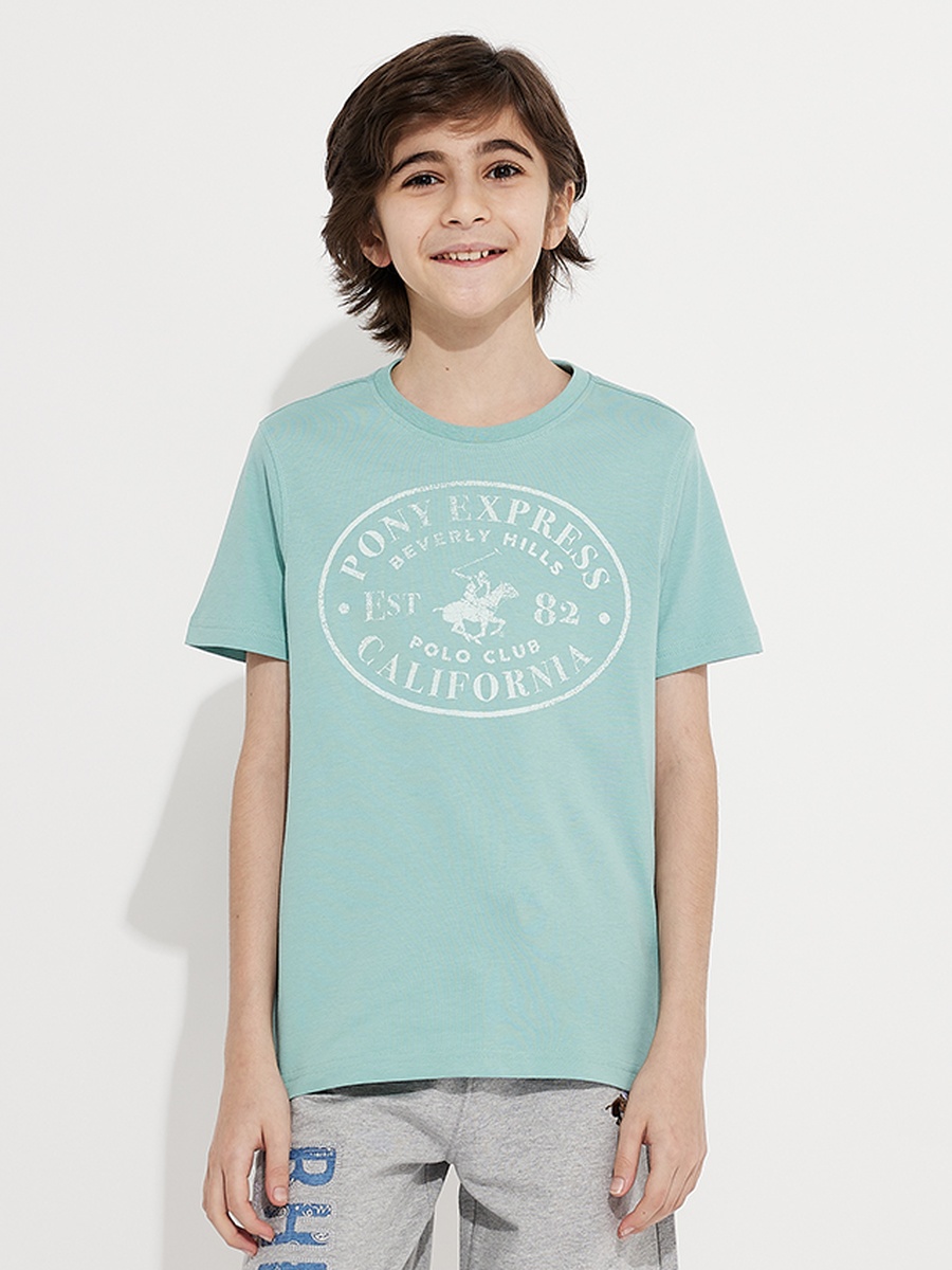 Boys Regular Fit Logo Print T-Shirt
