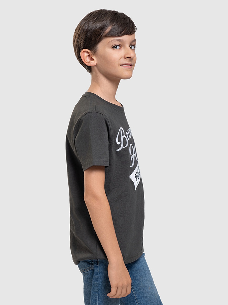 Boys Regular Fit Logo Print T-Shirt