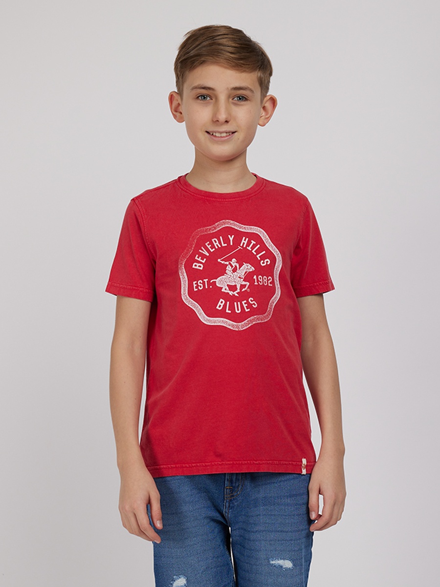 Boys Regular Fit Printed T-Shirt
