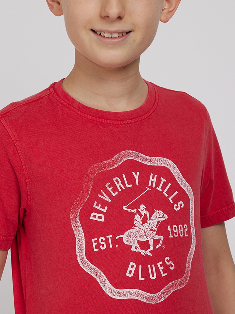Boys Regular Fit Printed T-Shirt