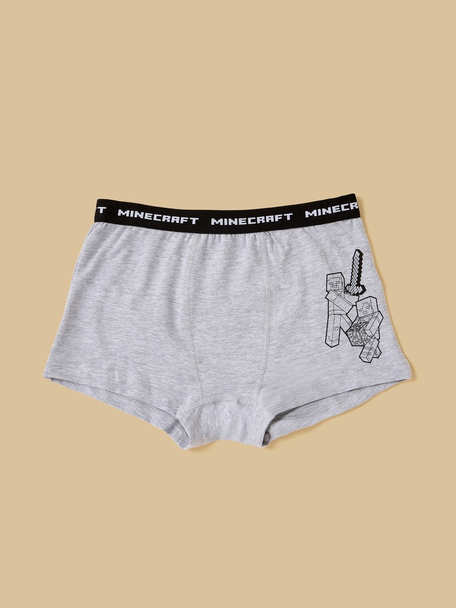 Pack of 3 - Minecraft Print Briefs