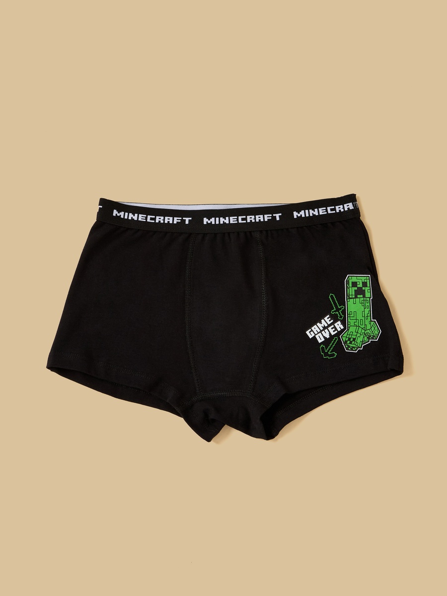Pack of 3 - Minecraft Print Briefs