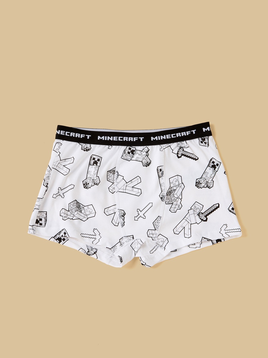 Pack of 3 - Minecraft Print Briefs