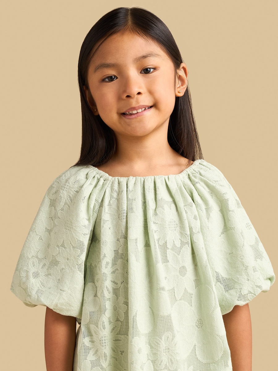 Floral Lace A-Line Dress