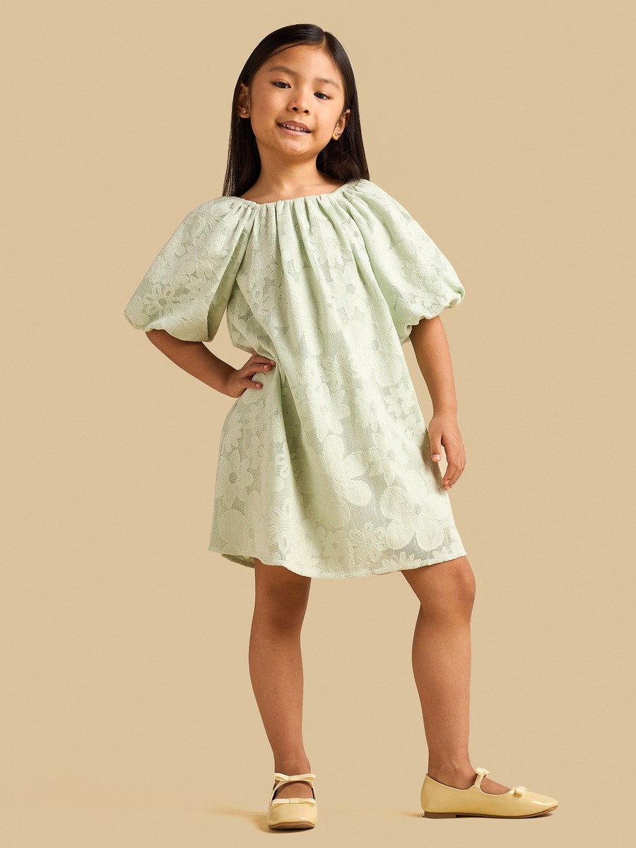 Floral Lace A-Line Dress
