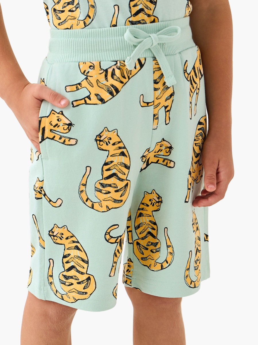 Drawstring Waist Shorts with Tiger Print