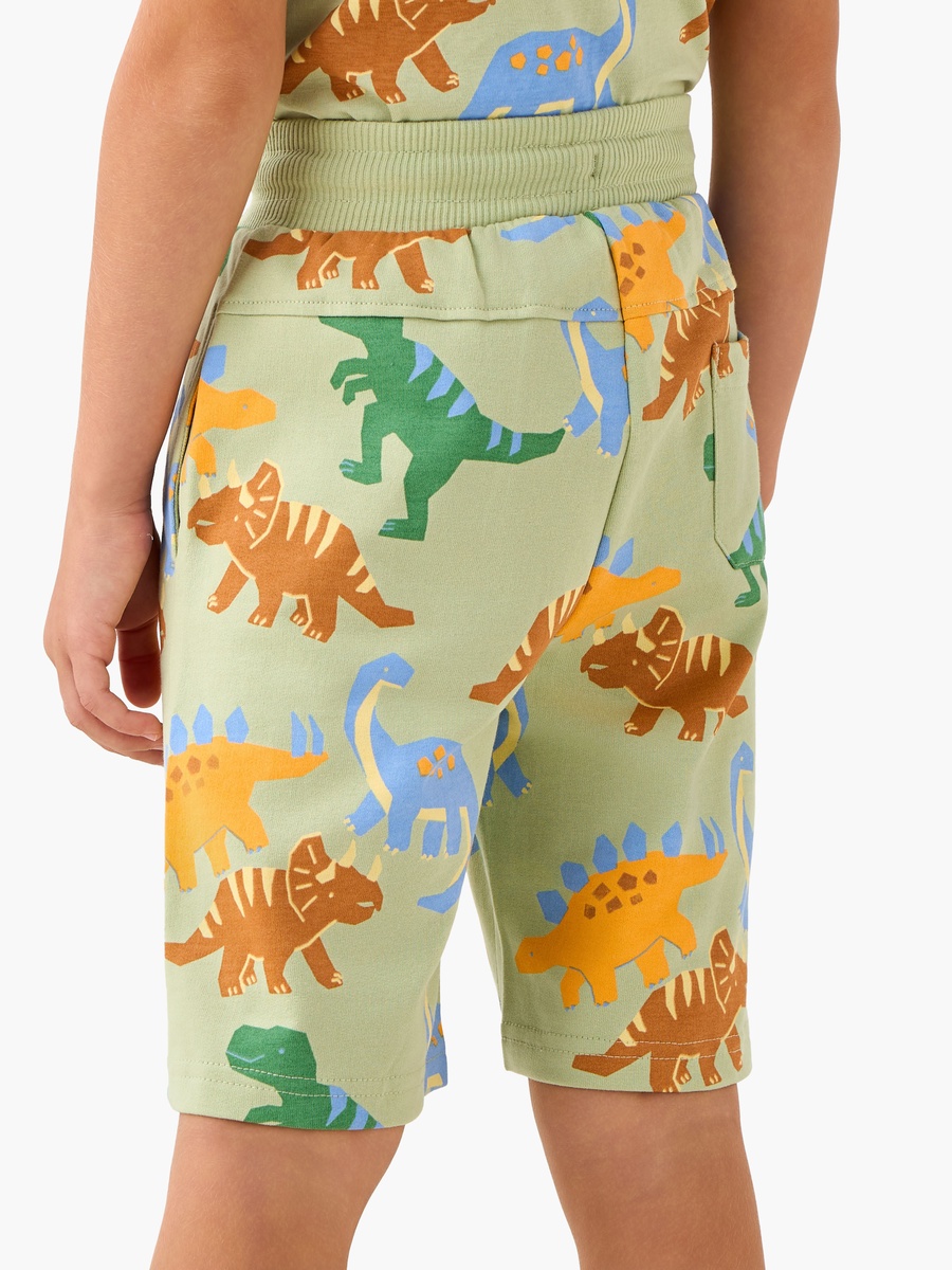 Drawstring Waist Shorts with Dinosaur Print