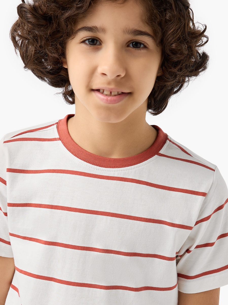 Crew Neck Short Sleeve T-Shirt with Stripes
