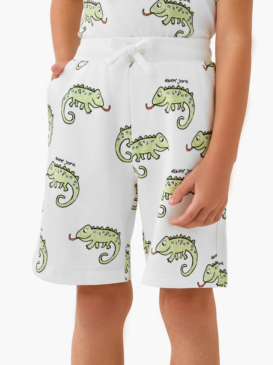 Set of 3 Crew Neck Short Sleeves T-Shirt and Shorts Set with Animal Print