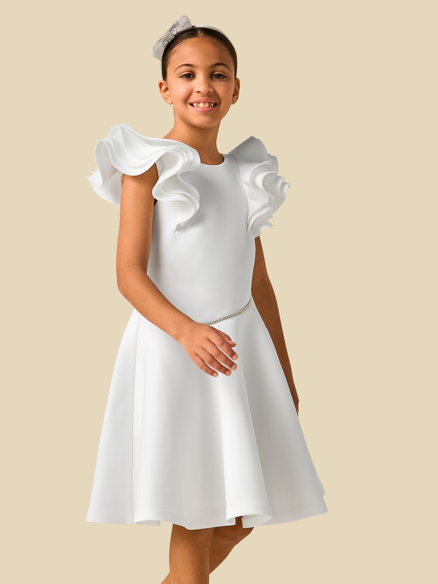 Round Neck Ruffle Sleeves Dress with Embellished Detail