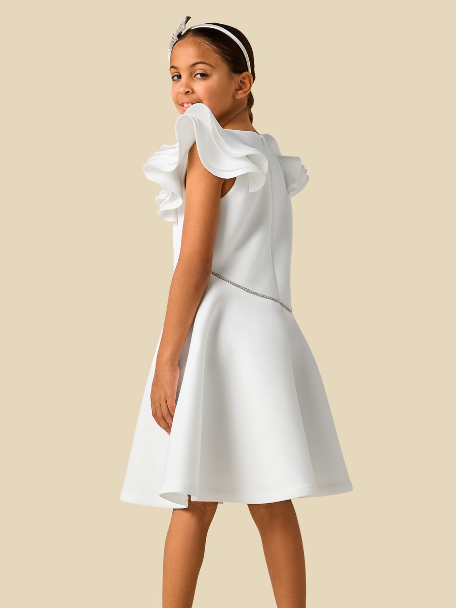 Round Neck Ruffle Sleeves Dress with Embellished Detail