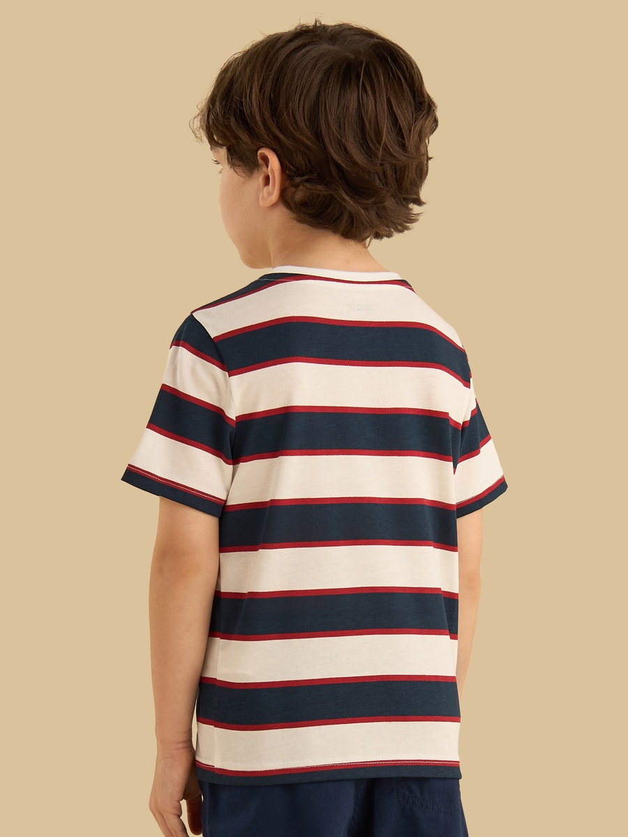Striped Cotton T-Shirt