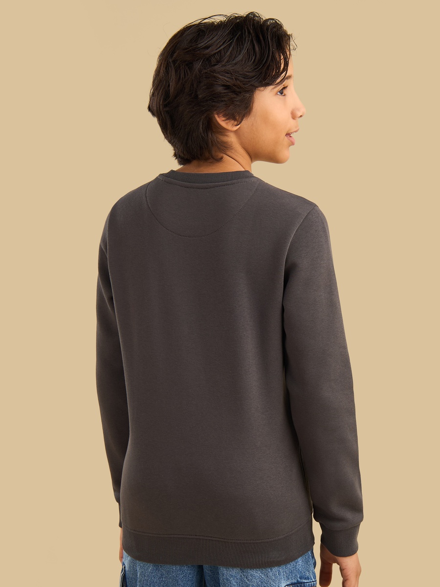 Bear Print Cotton Sweatshirt