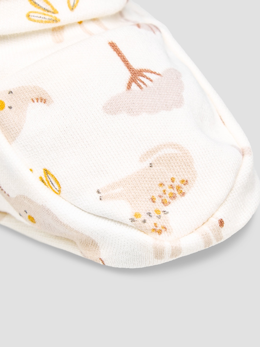 Pack of 2 Booties with Assorted Design