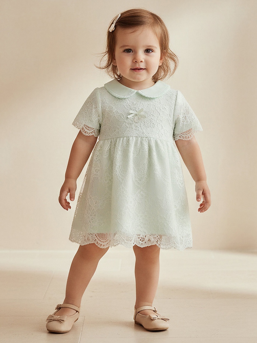 Peter Pan Collar Short Sleeves A-Line Dress with Lace Detail